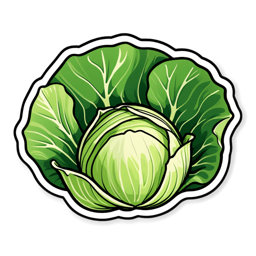 Cabbage (Green) sticker illustration