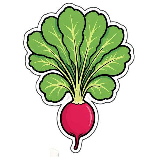 Radish sticker illustration